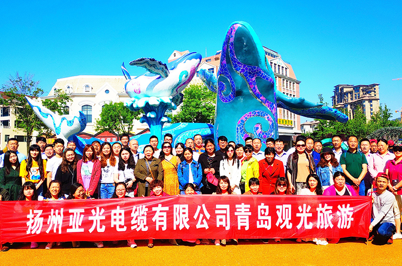 Cable Co., Ltd. de Yangzhou Yaguang